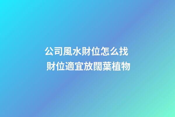 公司風水財位怎么找  財位適宜放闊葉植物